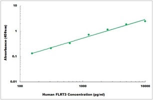 Human FLRT3 ELISA Kit