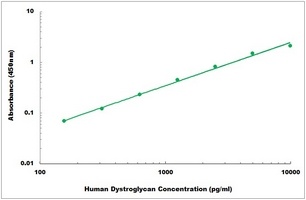 Human Dystroglycan ELISA Kit