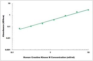 Human Creatine Kinase M ELISA Kit