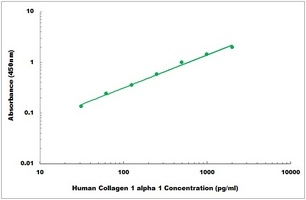 Human Collagen 1 alpha 1 ELISA Kit