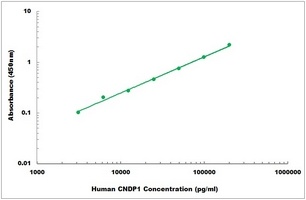 Human CNDP1 ELISA Kit