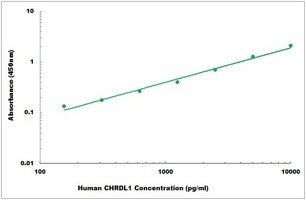 Human CHRDL1 ELISA Kit