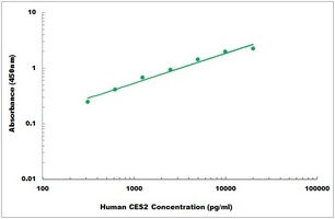 Human CES2 ELISA Kit