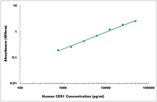 Human CES1 ELISA Kit