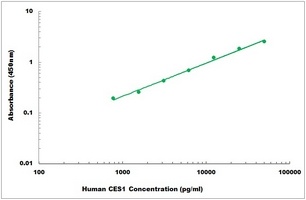 Human CES1 ELISA Kit