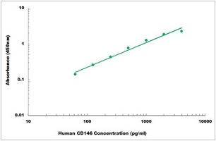 Human CD146 ELISA Kit