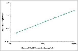 Human CCL19 ELISA Kit