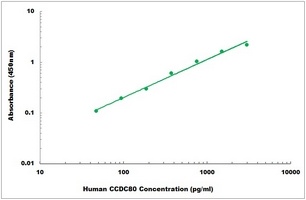 Human CCDC80 ELISA Kit