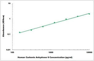 Human Carbonic Anhydrase 6 ELISA Kit