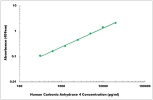 Human Carbonic Anhydrase 4 ELISA Kit