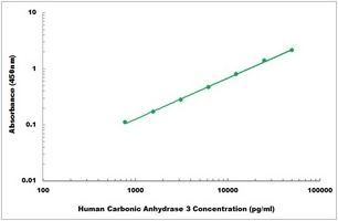 Human Carbonic Anhydrase 3 ELISA Kit