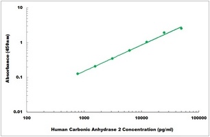 Human Carbonic Anhydrase 2 ELISA Kit