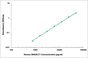 Human B4GALT1 ELISA Kit