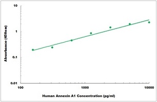 Human Annexin A1 ELISA Kit