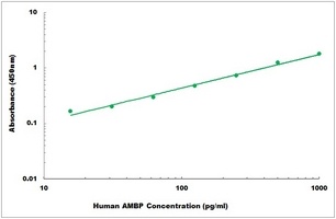 Human AMBP ELISA Kit