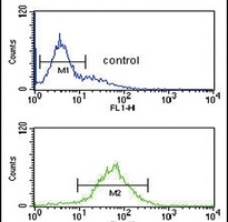 SRD5A3 Rabbit Polyclonal Antibody