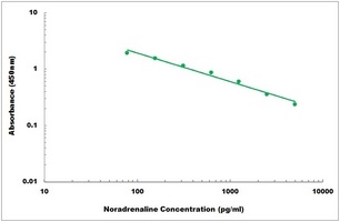 Noradrenaline ELISA Kit