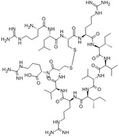 Bactenecin, Bovine peptide