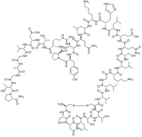 Calcitonin Eel peptide