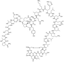 Calcitonin, Salmon peptide