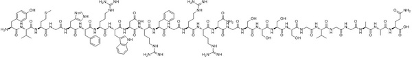 Gamma3-MSH peptide