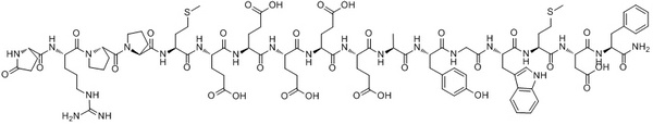 Gastrin Receptor-1 Rat peptide