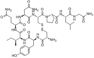 Oxytocin peptide