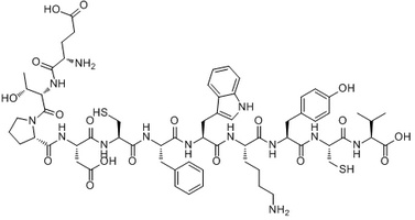 Urotensin II Human peptide