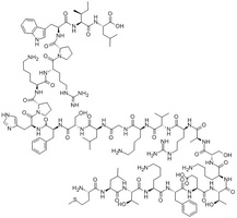 Xenin peptide