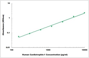 Human Cardiotrophin-1 ELISA Kit