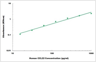 Human CCL22 ELISA Kit