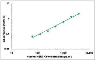 Human HER2 ELISA Kit