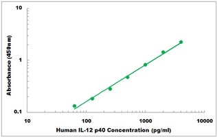 Human IL12 p40 ELISA Kit