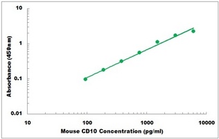 Mouse CD10 ELISA Kit