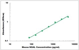 Mouse NGAL ELISA Kit