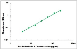 Rat Endothelin 1 ELISA Kit