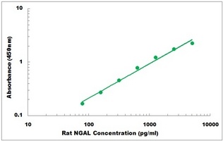 Rat NGAL ELISA Kit