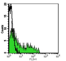 Anti-CD49f Antibody
