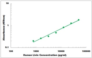 Human Livin ELISA Kit