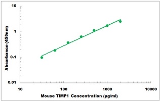 Mouse TIMP1 ELISA Kit