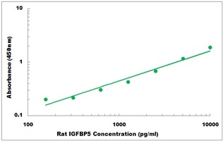 Rat IGFBP5 ELISA Kit