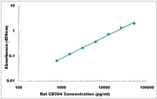 Rat CD304 ELISA Kit