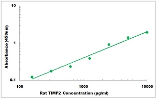 Rat TIMP2 ELISA Kit