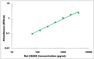 Rat CD265 ELISA Kit