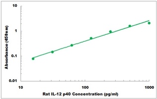 Rat IL12 p40 ELISA Kit