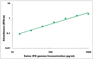 Pig IFN gamma ELISA Kit