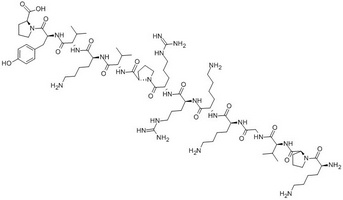 ACTH (11-24)