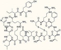 Adrenomedullin (16-31) peptide