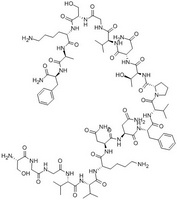 Alpha-CGRP (19-37)