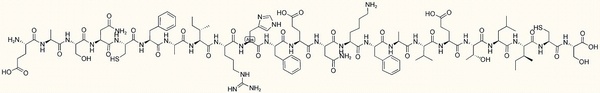 Amyloid Bri Protein (1-23)